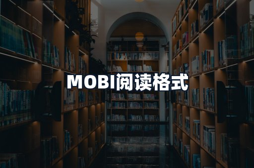 MOBI阅读格式
